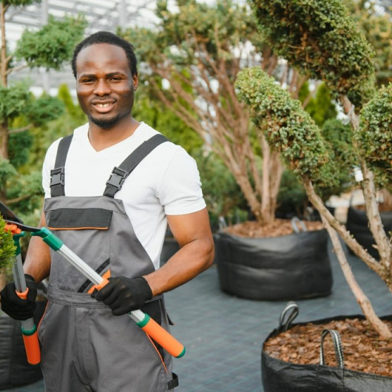 Garden Services