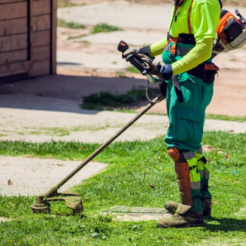 Grass Cutting