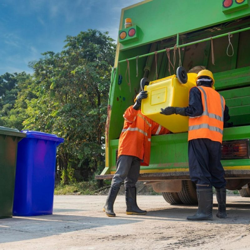 Waste Removal Services